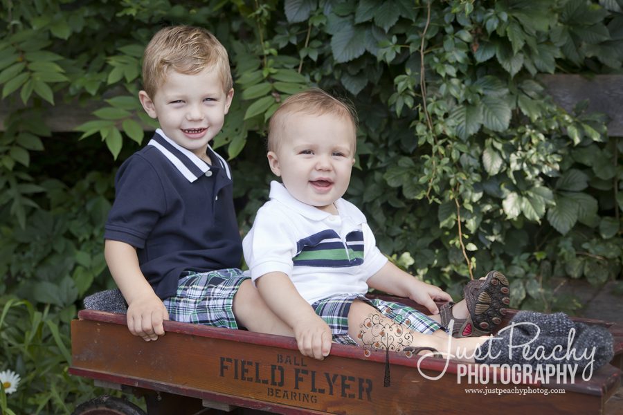 two boys in wagon photo
