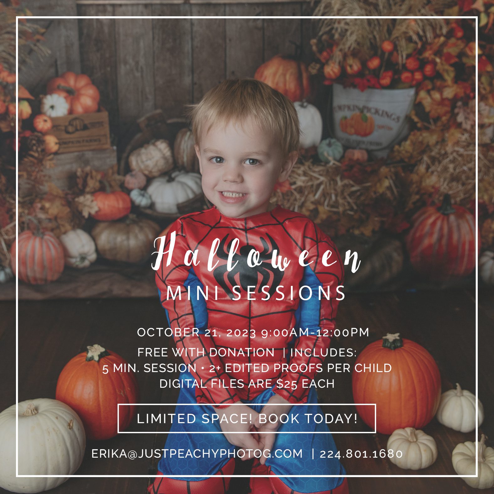 halloween mini sessions event in Palatine October 21st, 2023. boy in spiderman costume